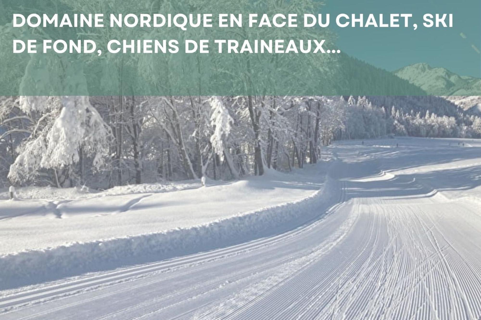 Chalet Les 4 Saisons - Ski, Parking Et Jardin Ла-Шапель-д'Абонданс Экстерьер фото