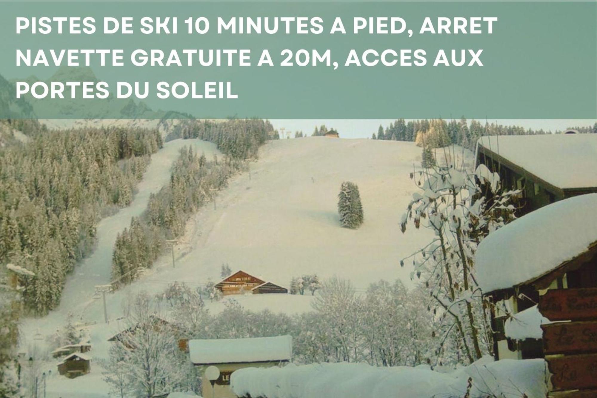 Chalet Les 4 Saisons - Ski, Parking Et Jardin Ла-Шапель-д'Абонданс Экстерьер фото